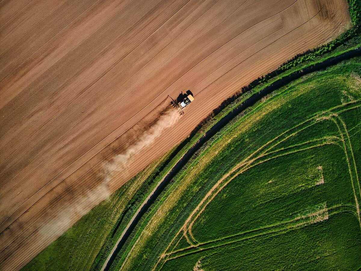 Vista aérea de lavouras brasileiras no entardecer